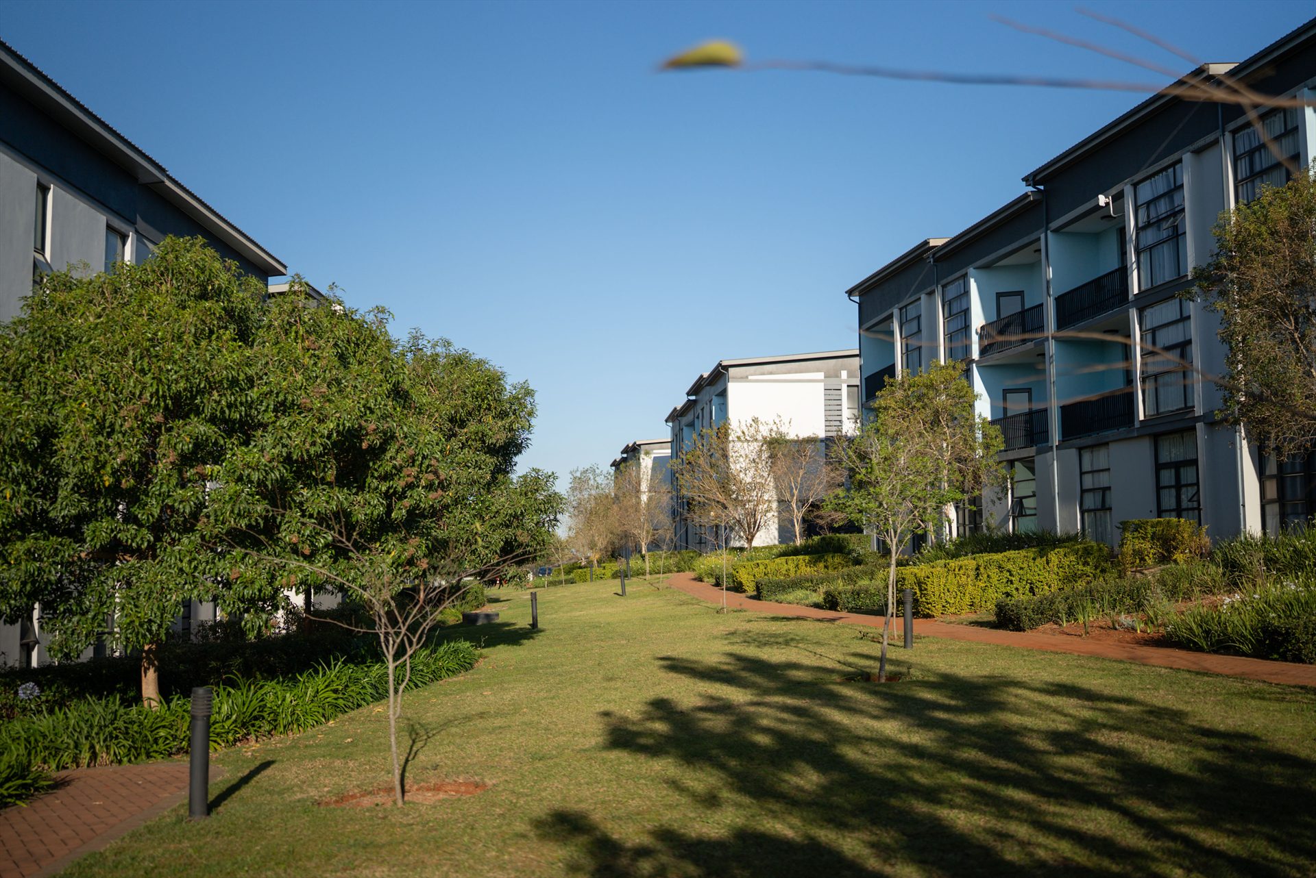 Landscaped gardens